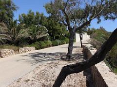 183 D33 ILE DE BENDOR_000055